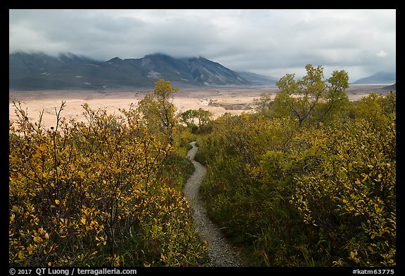 Trail to Valley of Ten Thousand Smokes. Katmai National Park (color)