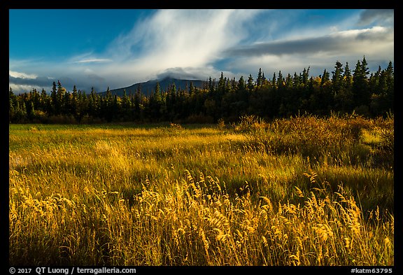 Grasses and mountain in autumn. Katmai National Park (color)
