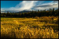 Grasses and mountain in autumn. Katmai National Park, Alaska, USA.