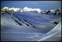 Aerial view of Harding icefield. Kenai Fjords National Park ( color)