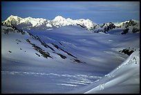 Aerial view of Harding icefield. Kenai Fjords National Park, Alaska, USA. (color)