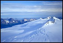 Aerial view of Harding icefield, fjords in the backgound. Kenai Fjords National Park, Alaska, USA. (color)