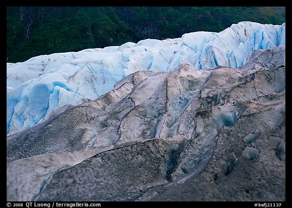 Grey ice, blue ice, Exit Glacier and forest. Kenai Fjords National Park (color)