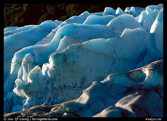 Exit Glacier. Kenai Fjords  National Park (color)