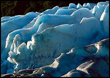 Exit Glacier. Kenai Fjords National Park, Alaska, USA. (color)