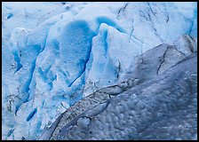 Grey and blue ice detail at the terminus of Exit Glacier. Kenai Fjords  National Park ( color)