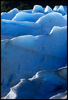 Ridges of blue ice at the terminus of Exit Glacier. Kenai Fjords National Park, Alaska, USA. (color)