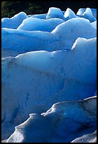 Ridges of blue ice at the terminus of Exit Glacier. Kenai Fjords National Park, Alaska, USA.