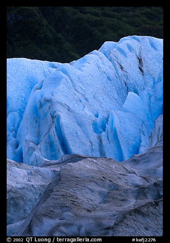 Exit Glacier and forest. Kenai Fjords National Park, Alaska, USA.