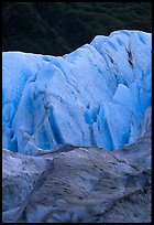 Exit Glacier and forest. Kenai Fjords National Park, Alaska, USA. (color)
