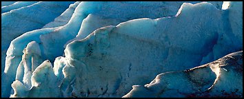 Ice fins on Exit Glacier. Kenai Fjords National Park (Panoramic color)