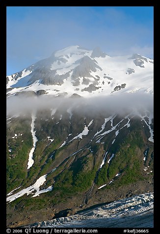 Glacier, and cloud hanging at mid-height of peak. Kenai Fjords National Park, Alaska, USA.