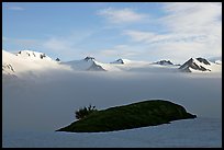 Patch of grass emerging from snow cover and mountains. Kenai Fjords National Park, Alaska, USA. (color)