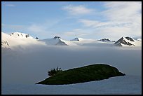 Patch of grass emerging from snow cover and mountains. Kenai Fjords National Park, Alaska, USA.