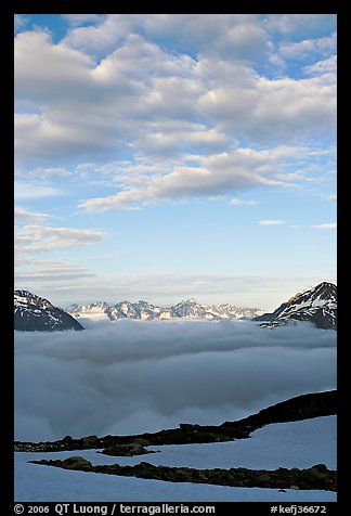 Sea of clouds and craggy peaks. Kenai Fjords National Park, Alaska, USA.