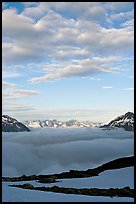 Sea of clouds and craggy peaks. Kenai Fjords National Park, Alaska, USA. (color)