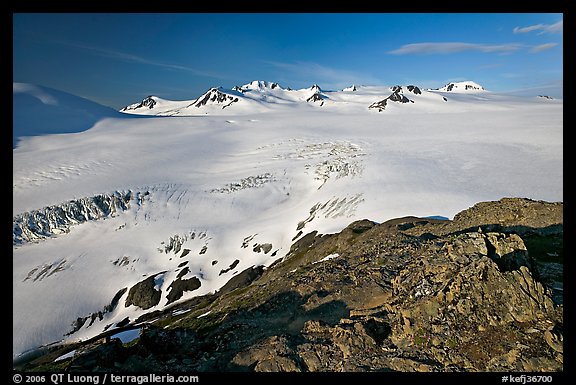 Lichen-covered rocks and Harding ice field. Kenai Fjords National Park, Alaska, USA.