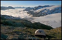 Camping in tent above glacier and sea of clouds. Kenai Fjords National Park, Alaska, USA. (color)
