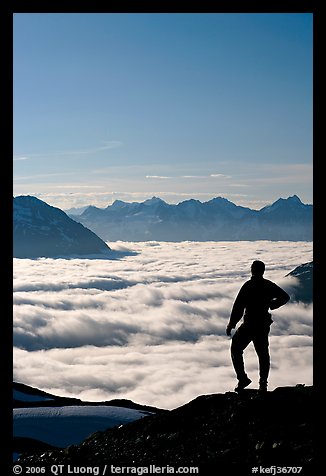 Man above a sea of clouds. Kenai Fjords National Park, Alaska, USA.