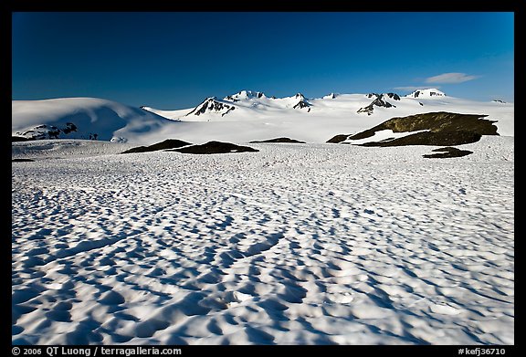 Snow cups and Harding icefield. Kenai Fjords National Park, Alaska, USA.