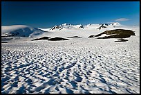 Snow cups and Harding icefield. Kenai Fjords National Park, Alaska, USA. (color)