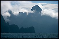 Peak emerging from the fog above bay waters. Kenai Fjords National Park, Alaska, USA.