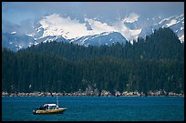 Small boat in Aialik Bay. Kenai Fjords National Park, Alaska, USA. (color)