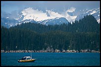 Small boat in Aialik Bay. Kenai Fjords National Park ( color)