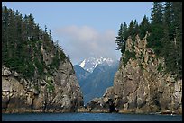 Steep rocky islands, Aialik Bay. Kenai Fjords National Park, Alaska, USA.