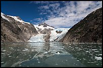 Northwestern Glacier and icebergs, Northwestern Lagoon. Kenai Fjords National Park, Alaska, USA.