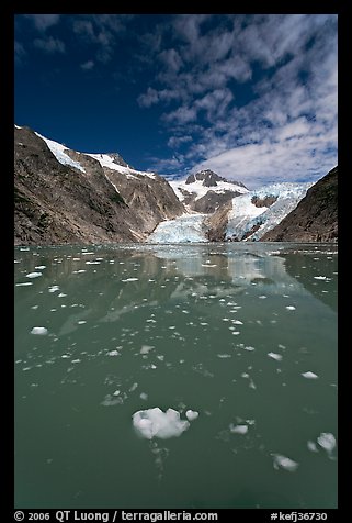 Icebergs in Northwestern Lagoon, Northwestern Fjord. Kenai Fjords National Park, Alaska, USA.