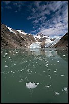 Icebergs in Northwestern Lagoon, Northwestern Fjord. Kenai Fjords National Park, Alaska, USA. (color)