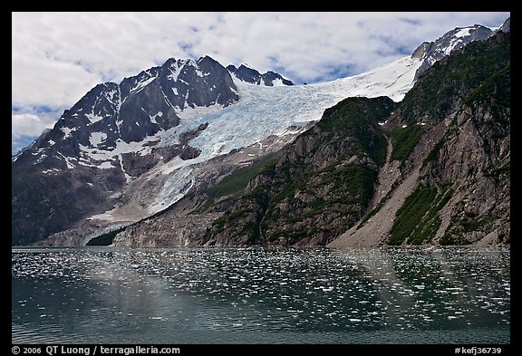 South side of fjord and icebergs, Northwestern Fjord. Kenai Fjords National Park (color)