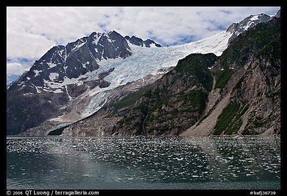 South side of fjord and icebergs, Northwestern Fjord. Kenai Fjords National Park, Alaska, USA.