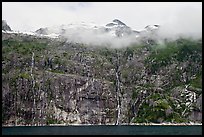 Wall of waterfalls streaming into Cataract Cove, Northwestern Fjord. Kenai Fjords National Park ( color)