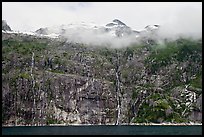 Wall of waterfalls streaming into Cataract Cove, Northwestern Fjord. Kenai Fjords National Park, Alaska, USA.