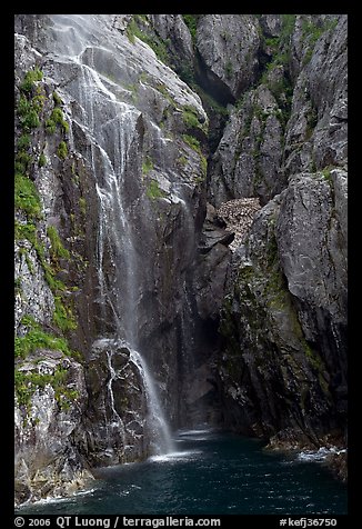 Waterfall streaming into Cataract Cove, Northwestern Fjord. Kenai Fjords National Park (color)