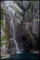 Waterfall streaming into Cataract Cove, Northwestern Fjord. Kenai Fjords National Park, Alaska, USA.