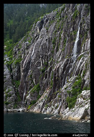 Waterfalls streaming into cove, Northwestern Fjord. Kenai Fjords National Park, Alaska, USA.