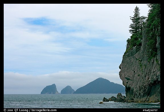 Chiswell Islands. Kenai Fjords National Park, Alaska, USA.