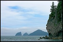 Chiswell Islands. Kenai Fjords National Park, Alaska, USA.