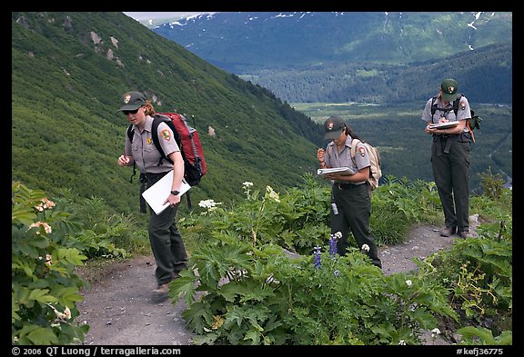 Women Park rangers on trail during a field study. Kenai Fjords National Park, Alaska, USA.