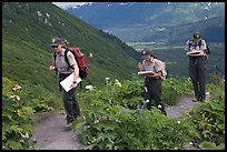 Women Park rangers on trail during a field study. Kenai Fjords National Park, Alaska, USA.