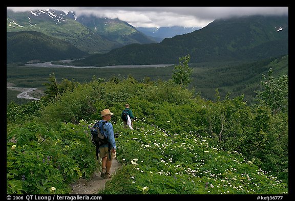 Hikers on Harding Icefield trail. Kenai Fjords National Park, Alaska, USA.