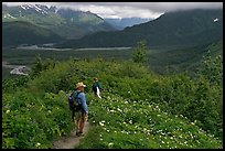 Hikers on Harding Icefield trail. Kenai Fjords National Park, Alaska, USA.