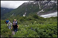 Women with child carrier backpacks on Harding Icefield trail. Kenai Fjords National Park, Alaska, USA.