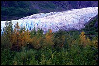 pictures of Kenai Fjords Autumn