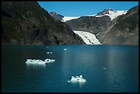 Aerial View of icebergs, Pedersen Lagoon and Glacier. Kenai Fjords National Park ( color)