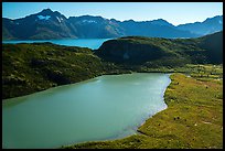 Aerial View of Pedersen Lagoon and Aialik Bay. Kenai Fjords National Park ( color)