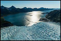 Aerial View of Aialik Glacier flowing into Aialik Bay. Kenai Fjords National Park ( color)
